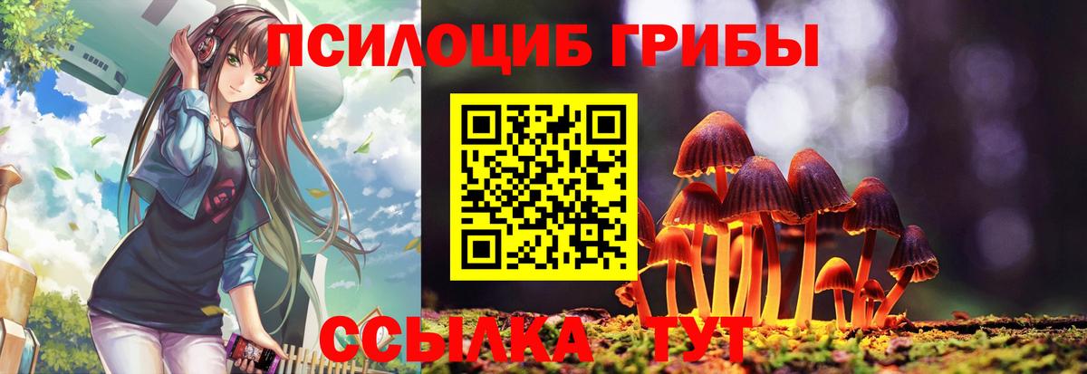 Галлюциногенные грибы прущие грибы  Вход с VPN  Архангельск 